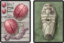 Load image into Gallery viewer, Cadaver