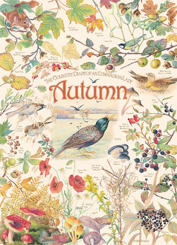 country-diary-autumn-1000-pieces