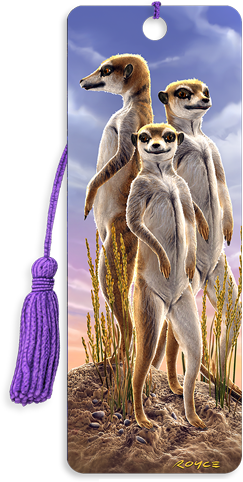 3D Bookmarks: Meerkats