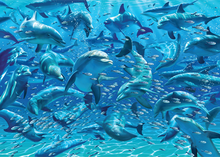 Load image into Gallery viewer, Double-Trouble Puzzle: Dolphins