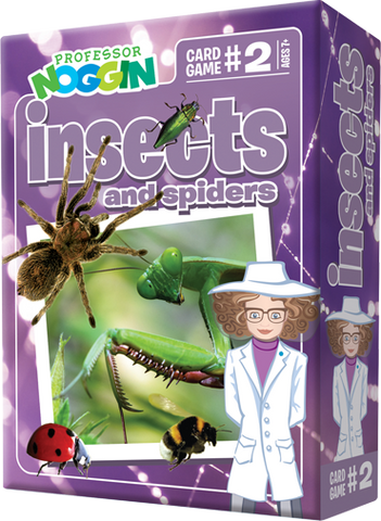 professor-noggin-insects-and-spiders