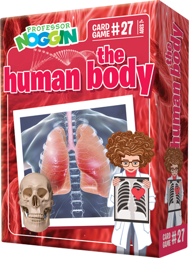 Professor Noggin: The Human Body