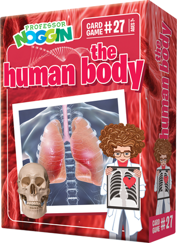 professor-noggin-the-human-body