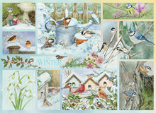 Load image into Gallery viewer, Garden Birds in Winter (500 pieces)