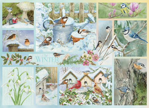 Garden Birds in Winter (500 pieces)