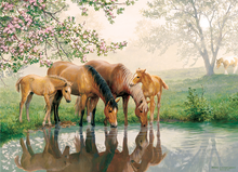 Load image into Gallery viewer, Horse Family (350 pieces)