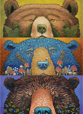 bear-eyes-harvest-500-pieces