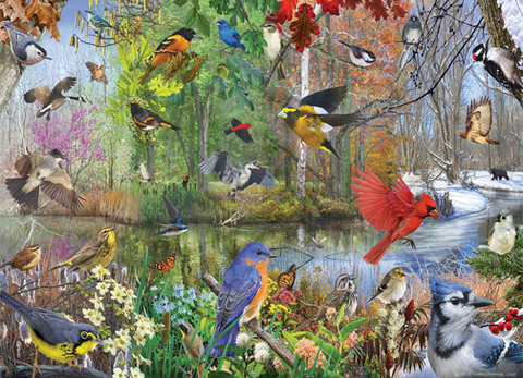 birds-of-the-season-1000-pieces