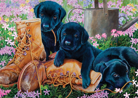 black-lab-puppies-35-pieces