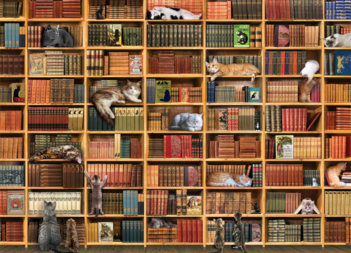 Cat Library (1000 pieces)