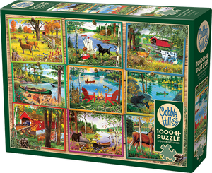 Postcards from the Lake Country (1000 pieces)