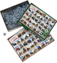 Load image into Gallery viewer, Railroads of America (1000 pieces)