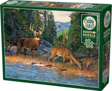 Load image into Gallery viewer, The Rivers Edge (1000 pieces)
