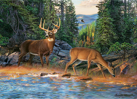 the-rivers-edge-1000-pieces