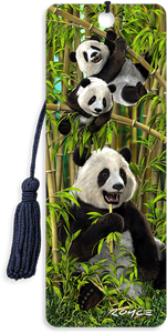 3D Bookmarks: Pandas