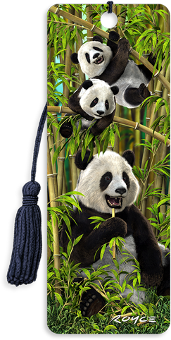3D Bookmarks: Pandas