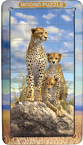 magna-portraits-cheetahs