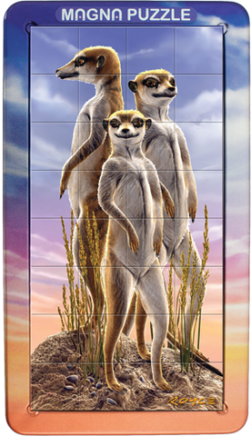 magna-portraits-meerkats