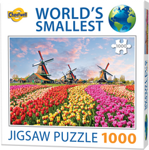 Load image into Gallery viewer, World&#39;s Smallest: Dutch Windmills